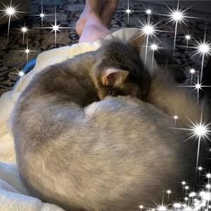 Meet your Posher, Sue